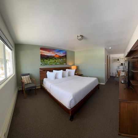 Sage Motel Newcastle Extérieur photo