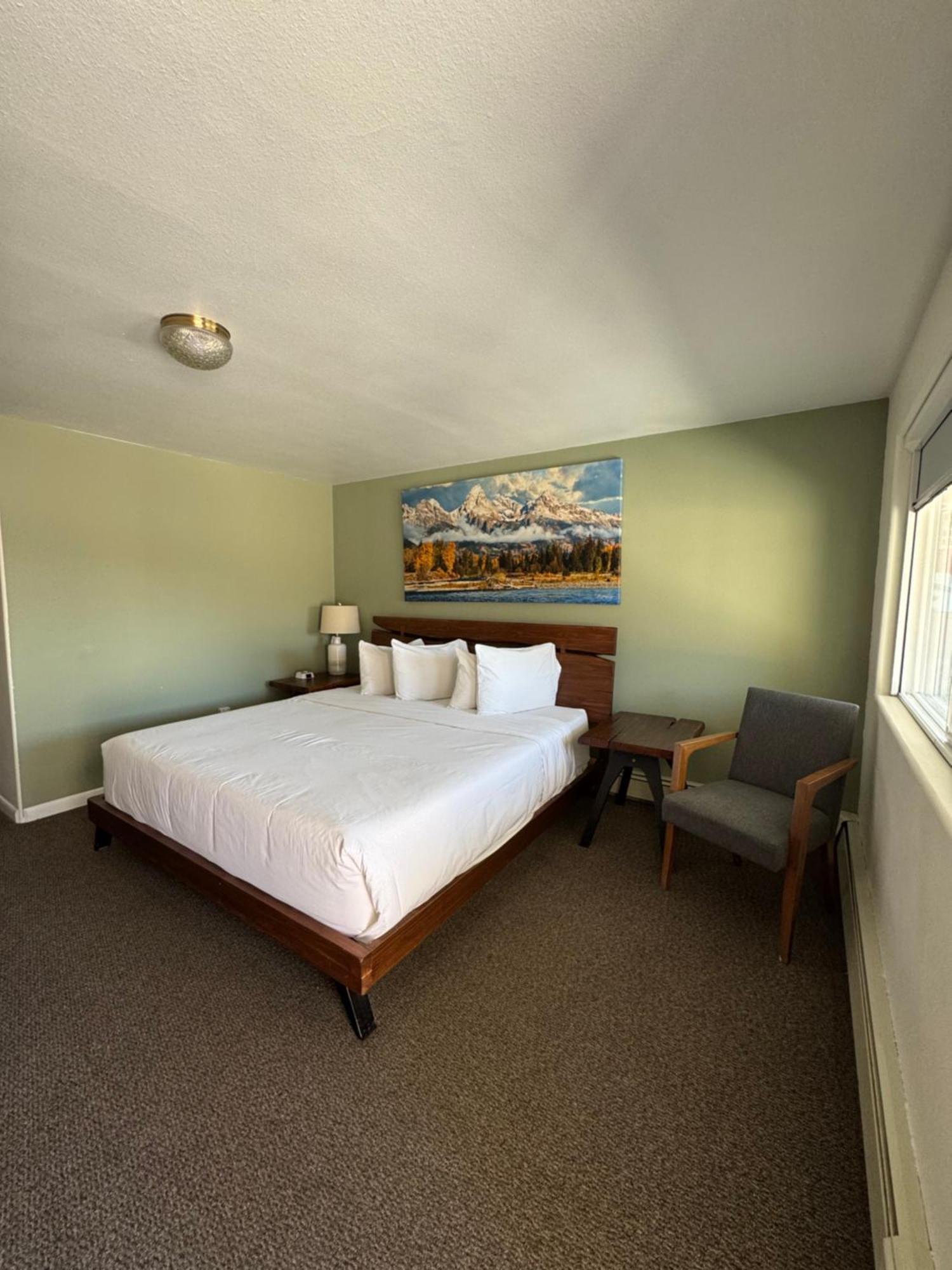 Sage Motel Newcastle Extérieur photo